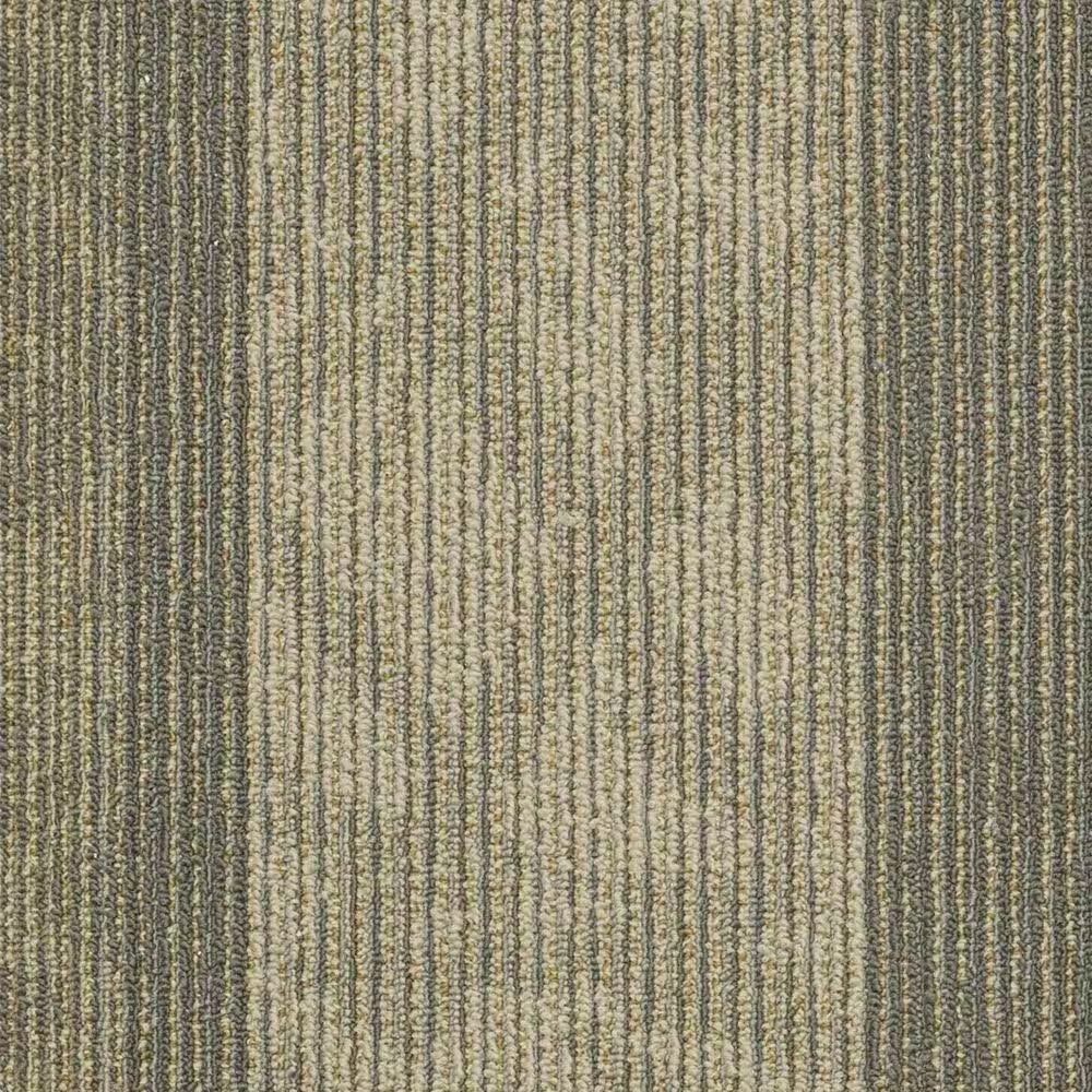 Shaw Feedback 24" x 24" Carpet Tile in Receiver