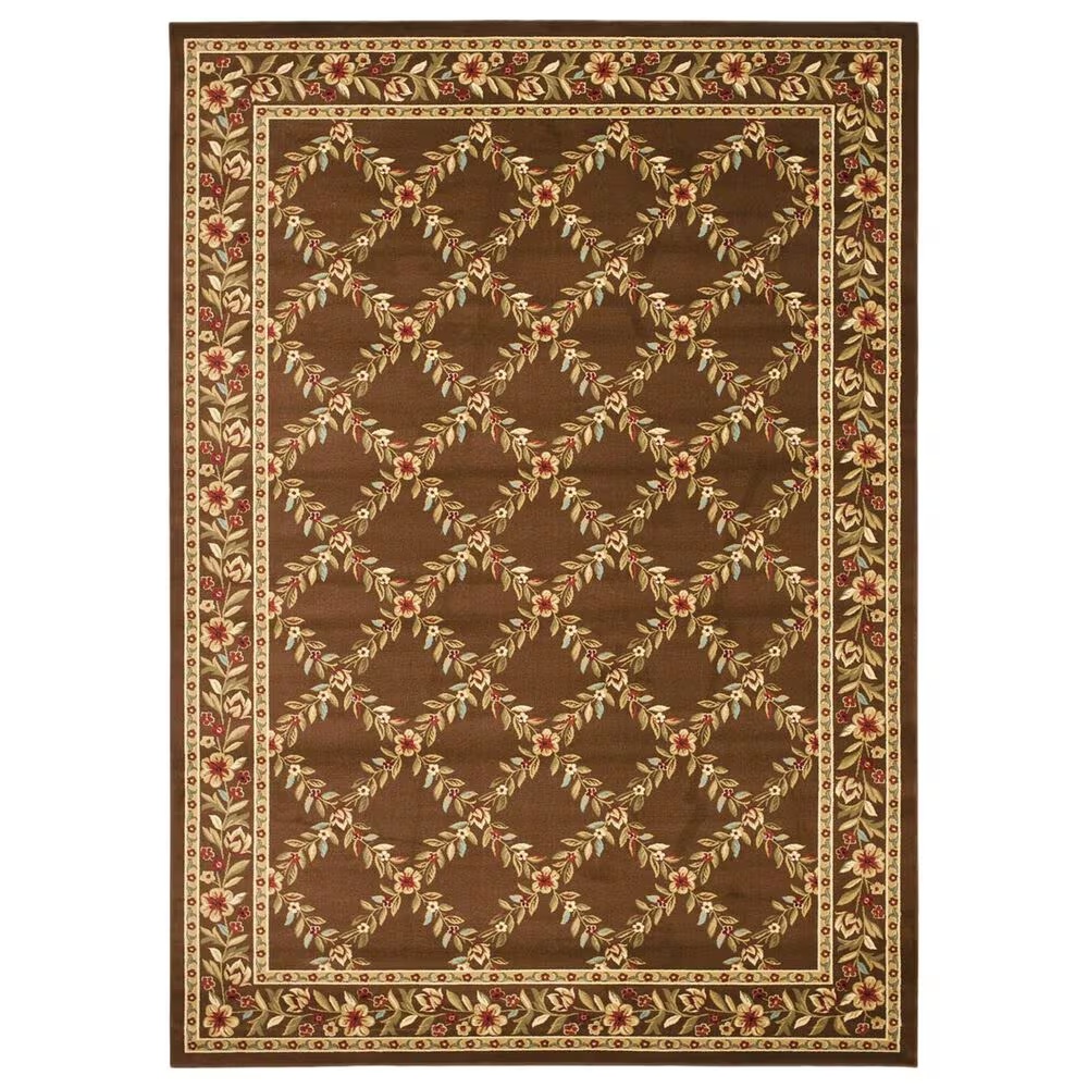 Safavieh Lyndhurst LNH557 8'9" x 12' Brown Area Rug