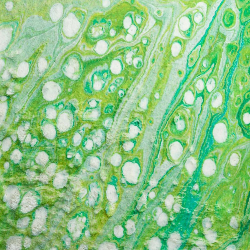 136863-dalyn-rug-company-kikiamo-5-x-7-6-lime-in-area-rug-1.jpg
