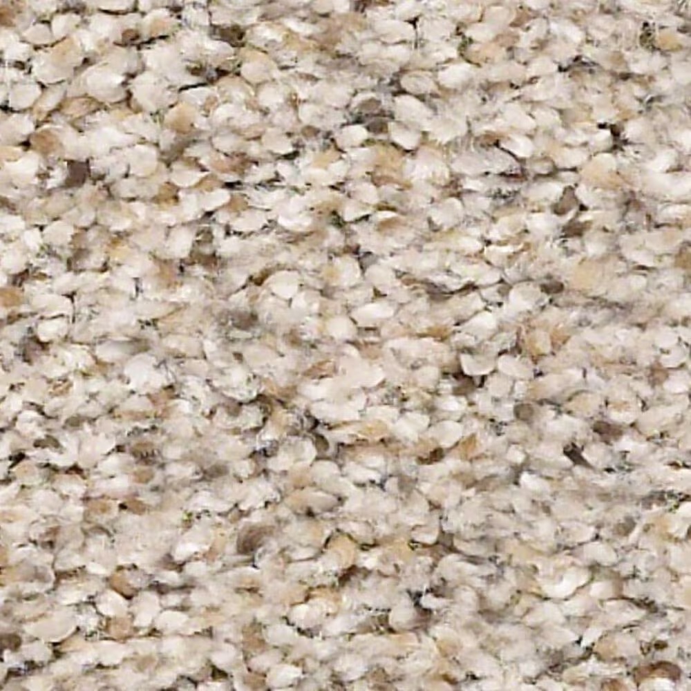 Shaw Elemental Mix III Carpet in Gentle Rain