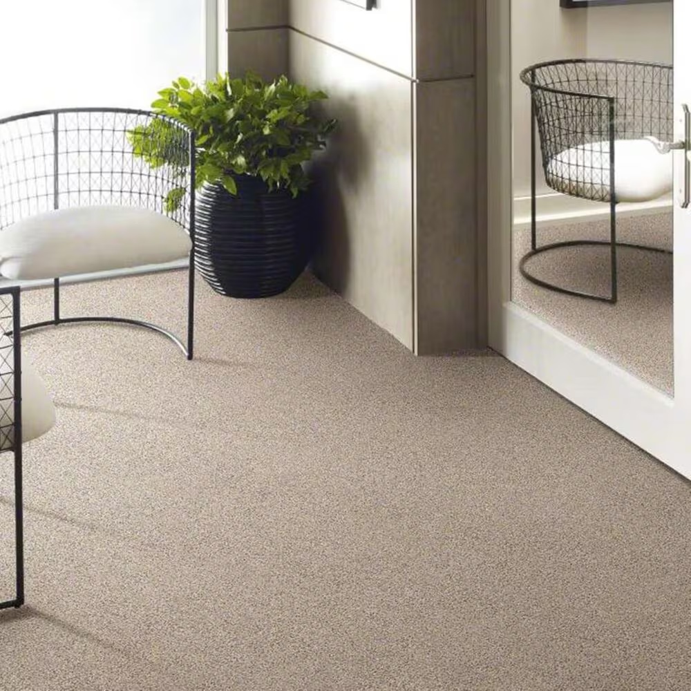 13767-shaw-elemental-mix-iii-carpet-in-gentle-rain-1.jpg
