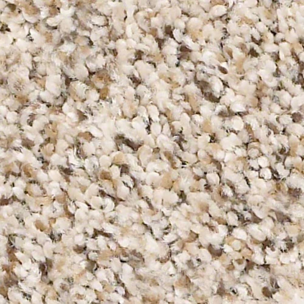 Shaw Elemental Mix III Carpet in Horizon