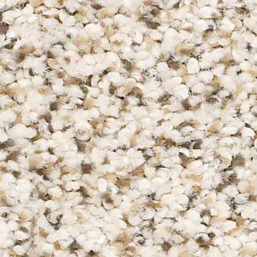 Shaw Elemental Mix III Carpet in Swiss Coffee