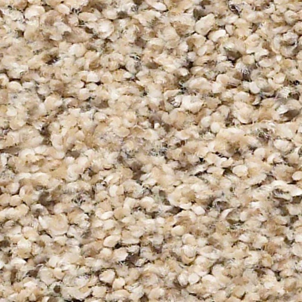 Shaw Elemental Mix III Carpet in Sand Castle
