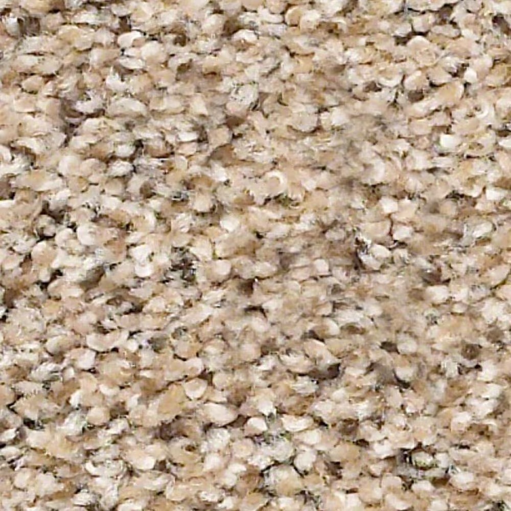 Shaw Elemental Mix III Carpet in Twine