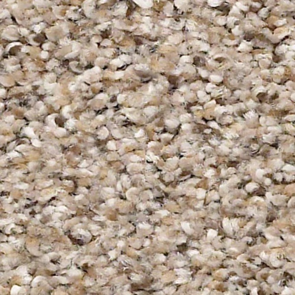 Shaw Elemental Mix III Carpet in Acreage