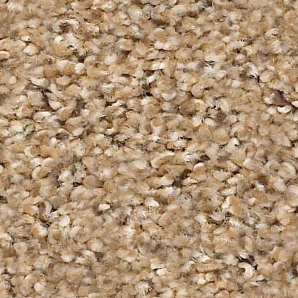 Shaw Elemental Mix III Carpet in Bridle Leather