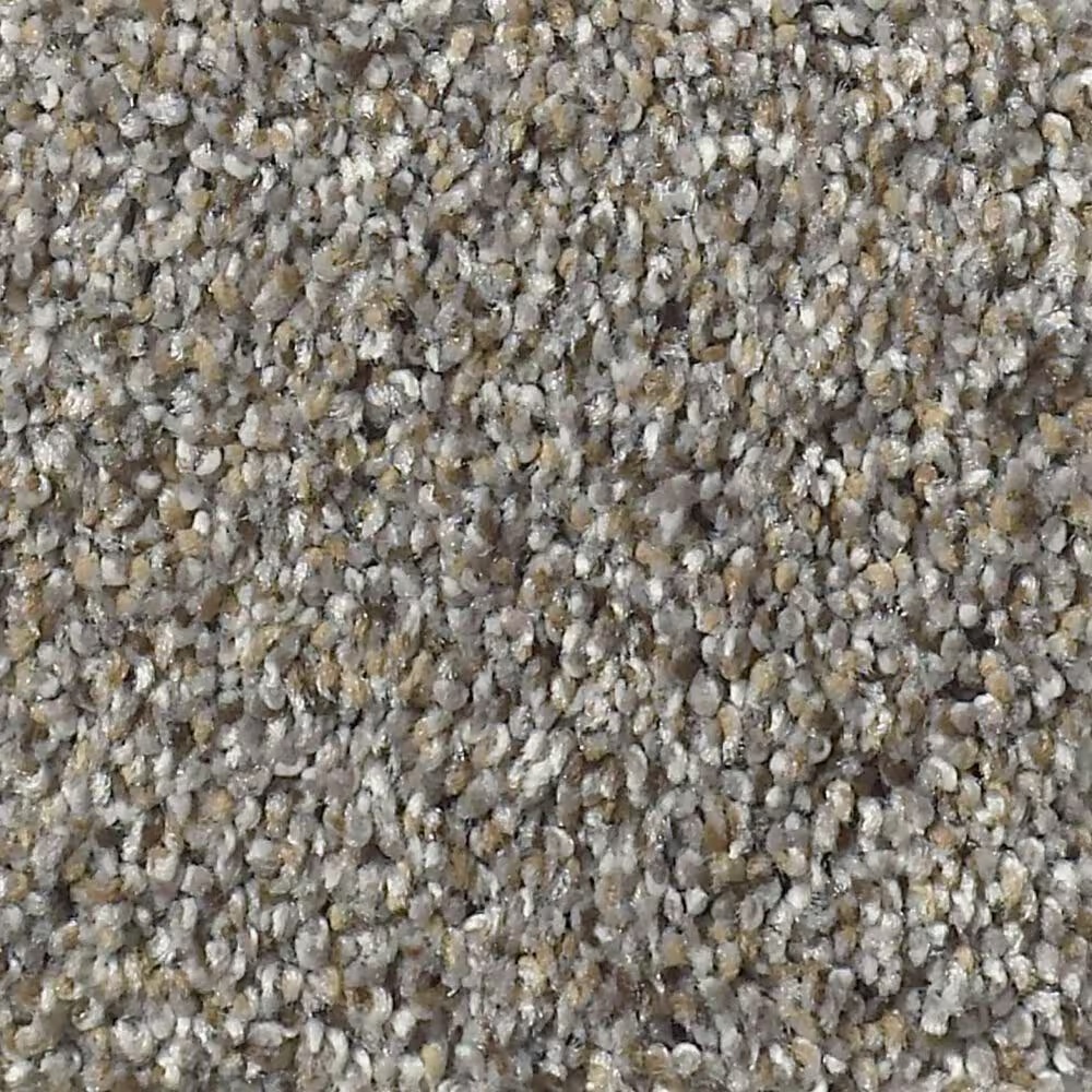 Shaw Elemental Mix III Carpet in Antique Pin