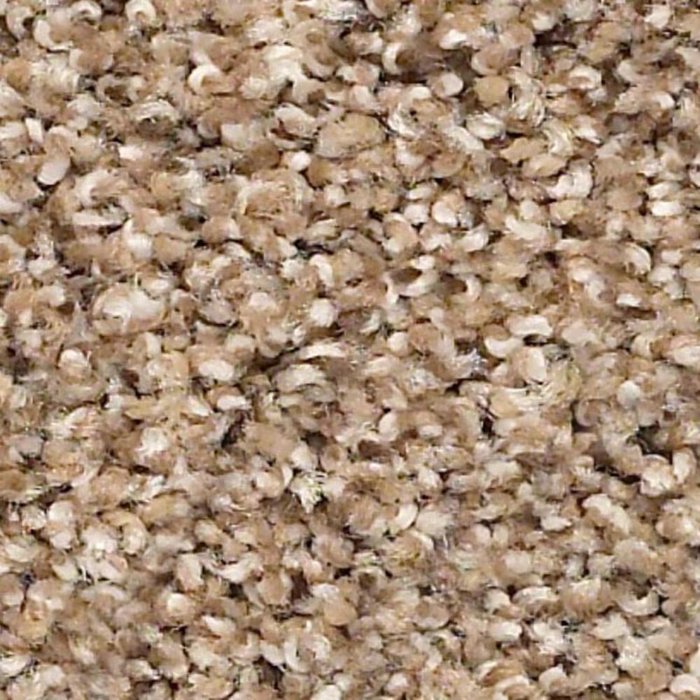 Shaw Elemental Mix III Carpet in Arrowhead
