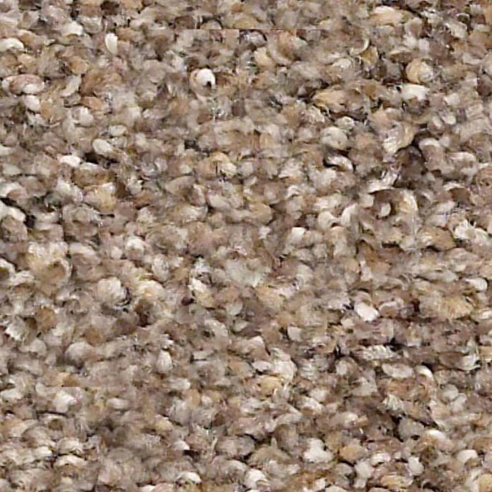 Shaw Elemental Mix III Carpet in Cobble Drive
