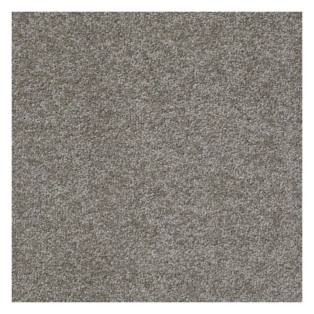 Shaw Something Sweet Carpet in Barn Wood