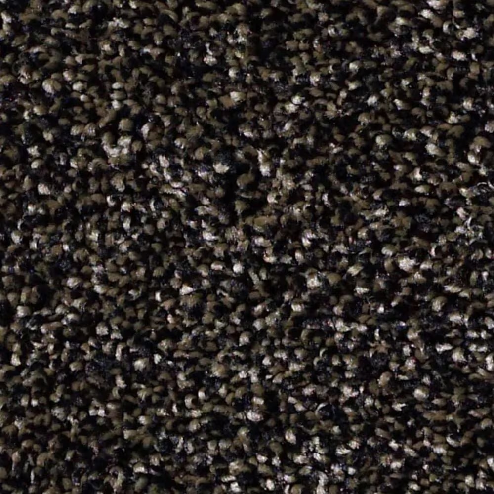 Shaw Making The Rules III Carpet in Black Rich Earth