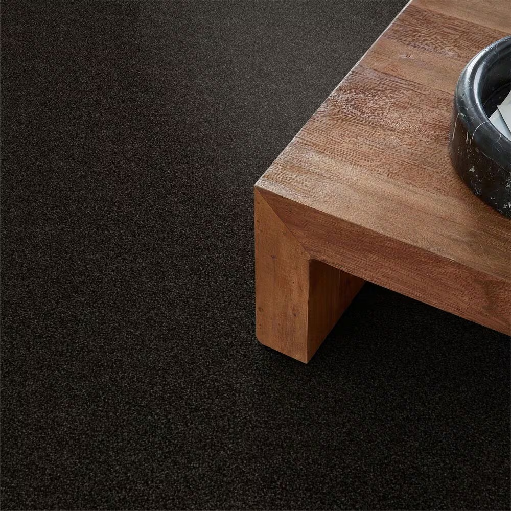 14417-shaw-making-the-rules-iii-carpet-in-black-rich-earth-1.jpg