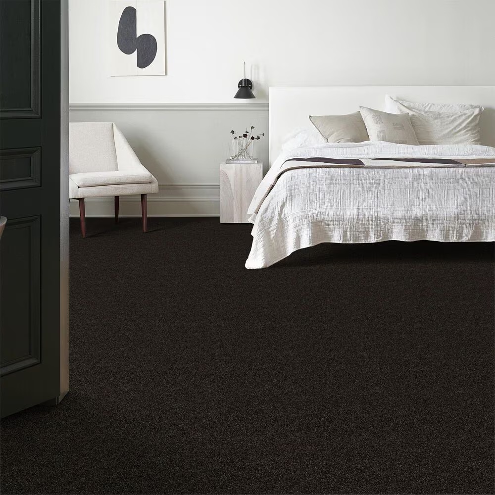 14417-shaw-making-the-rules-iii-carpet-in-black-rich-earth-1.jpg