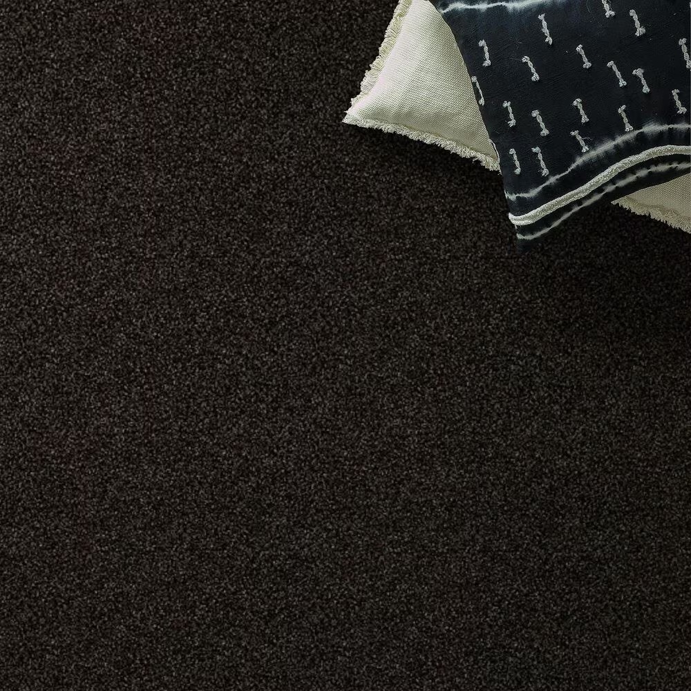 14417-shaw-making-the-rules-iii-carpet-in-black-rich-earth-1.jpg