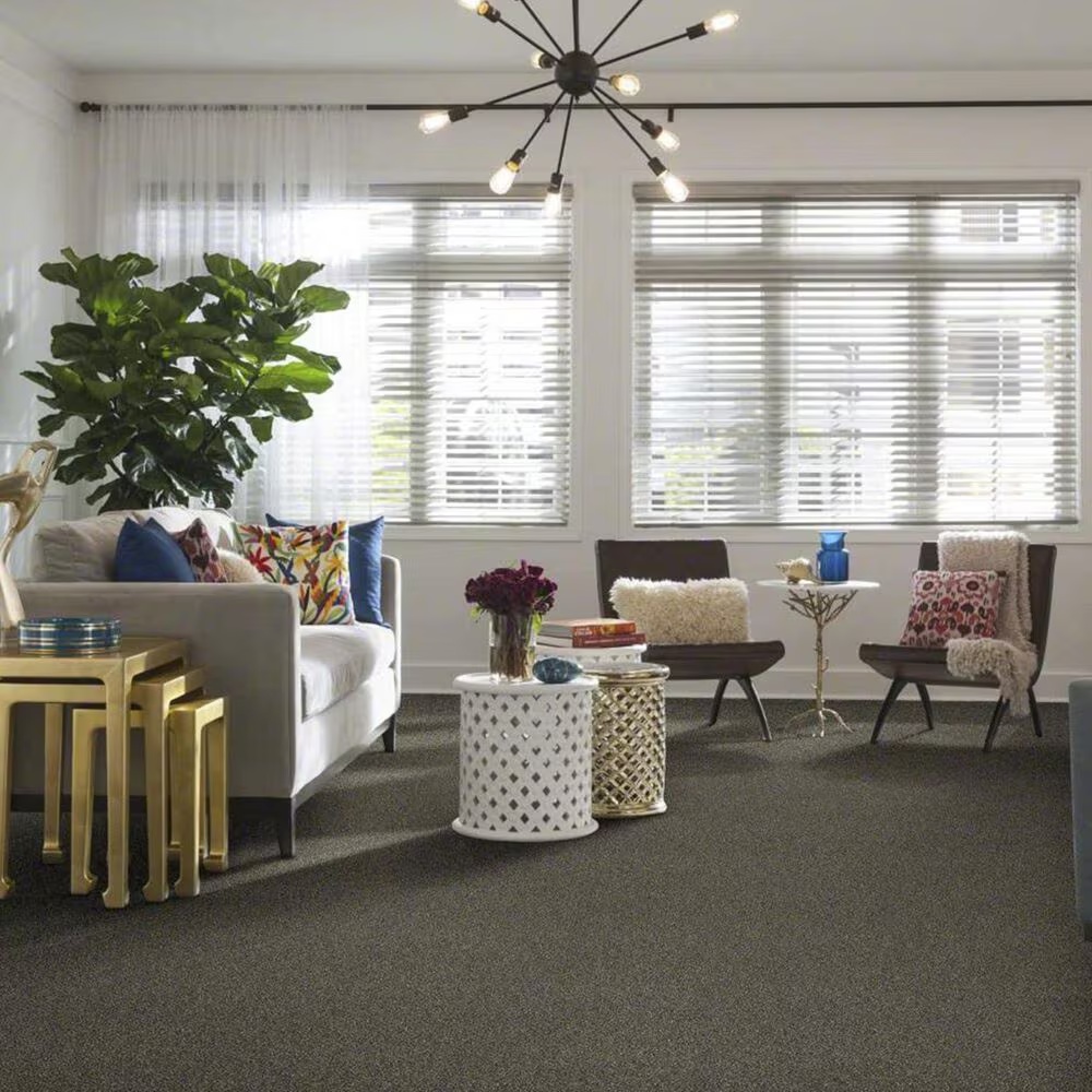 14418-shaw-making-the-rules-ii-carpet-in-dynamic-1.jpg