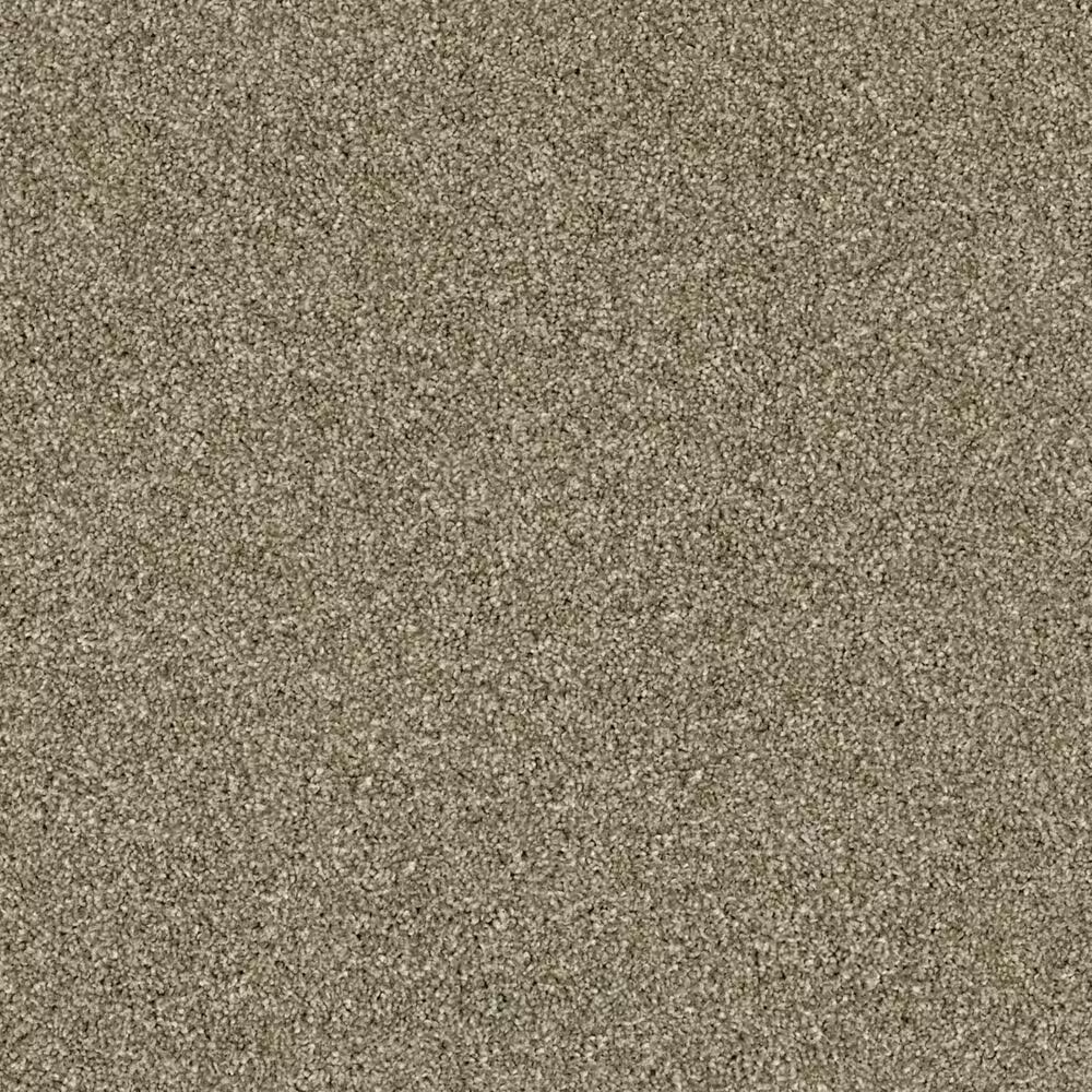 14419-shaw-making-the-rules-iii-carpet-in-biscotti-1.jpg