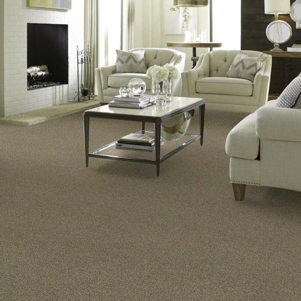 14419-shaw-making-the-rules-iii-carpet-in-biscotti-1.jpg