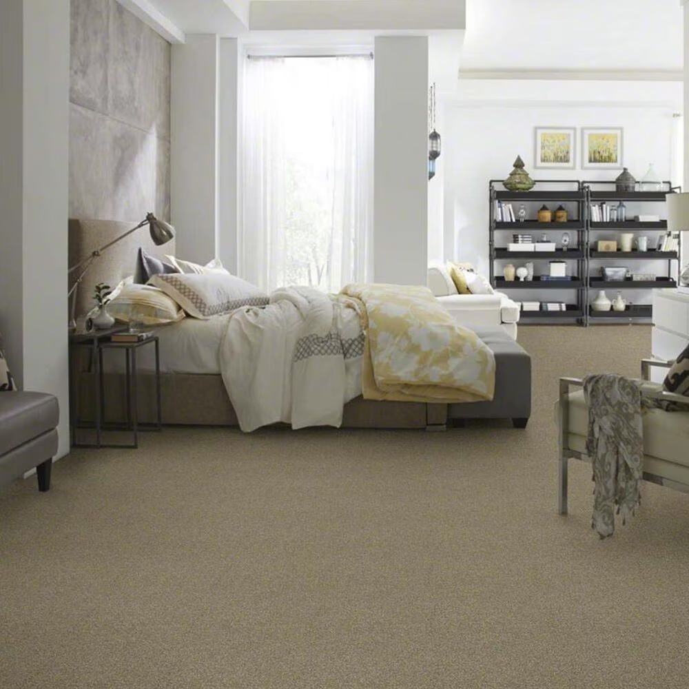 14419-shaw-making-the-rules-iii-carpet-in-biscotti-1.jpg