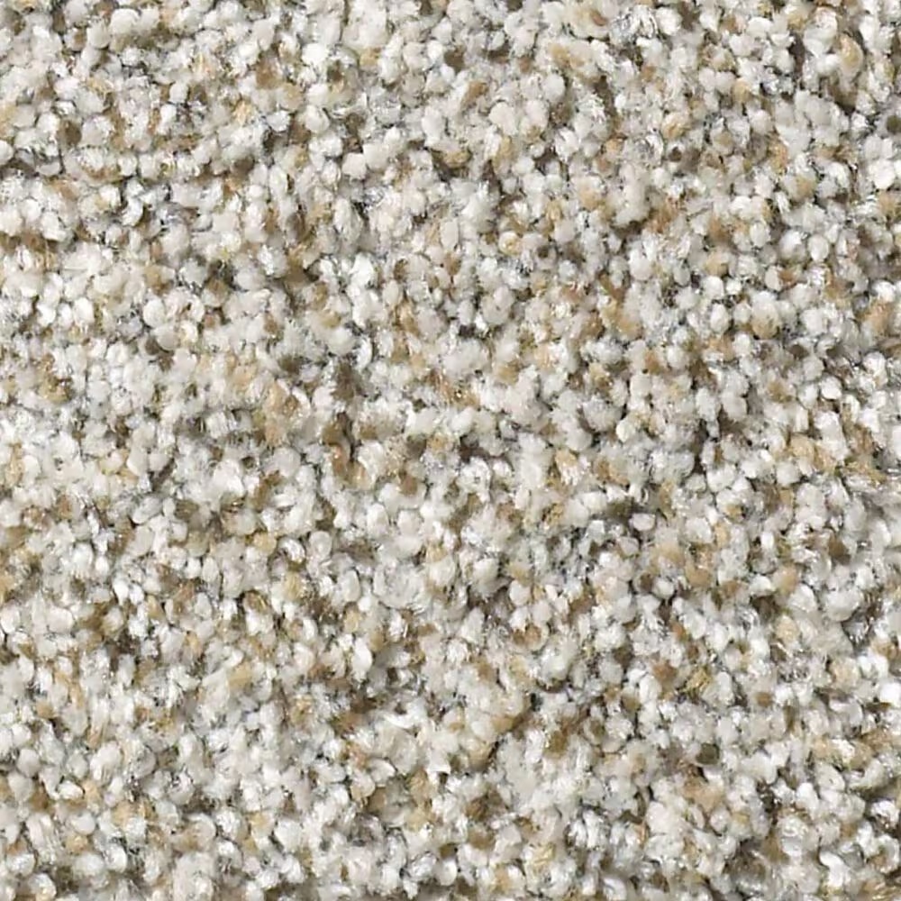 Shaw Elemental Mix III Carpet in Silver Lining