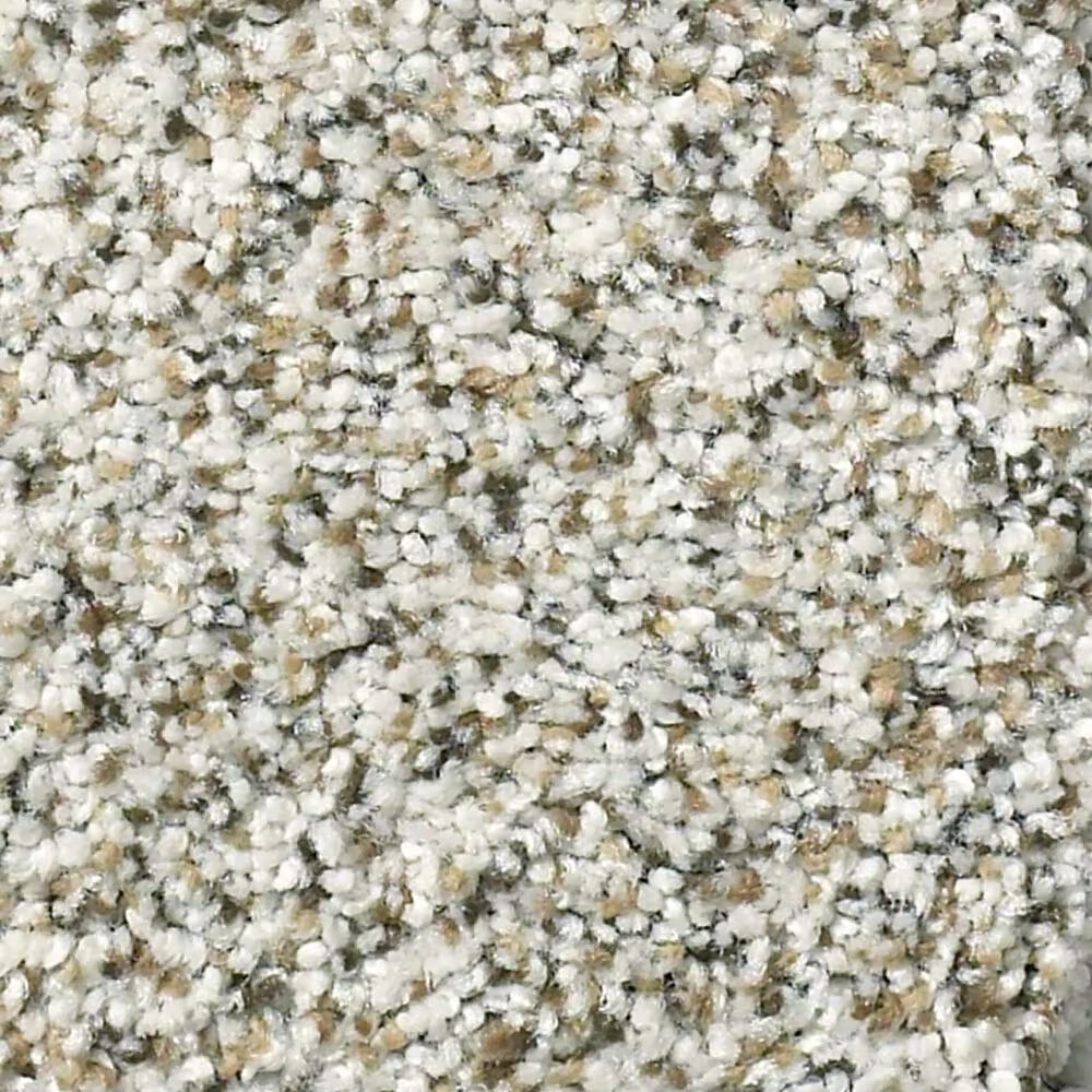 Shaw Elemental Mix III Carpet in Snowbound