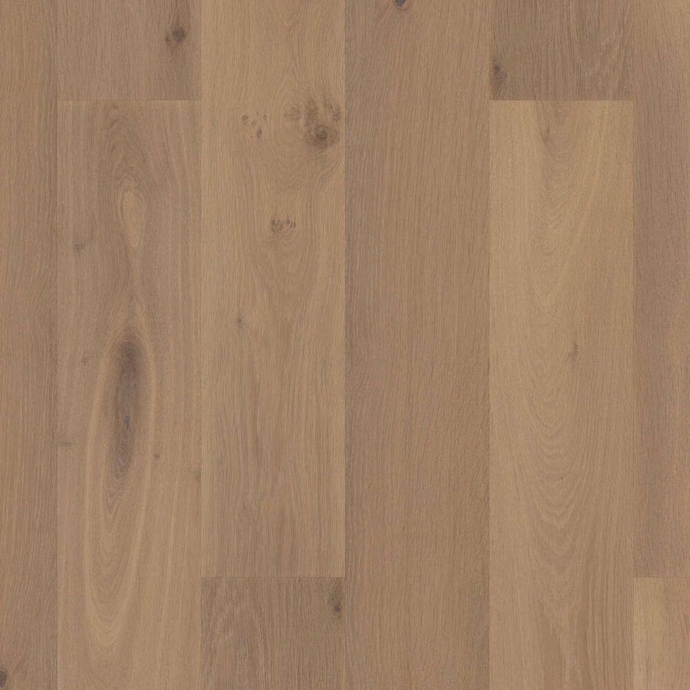 Shaw Expressions Alla Prima Oak Hardwood