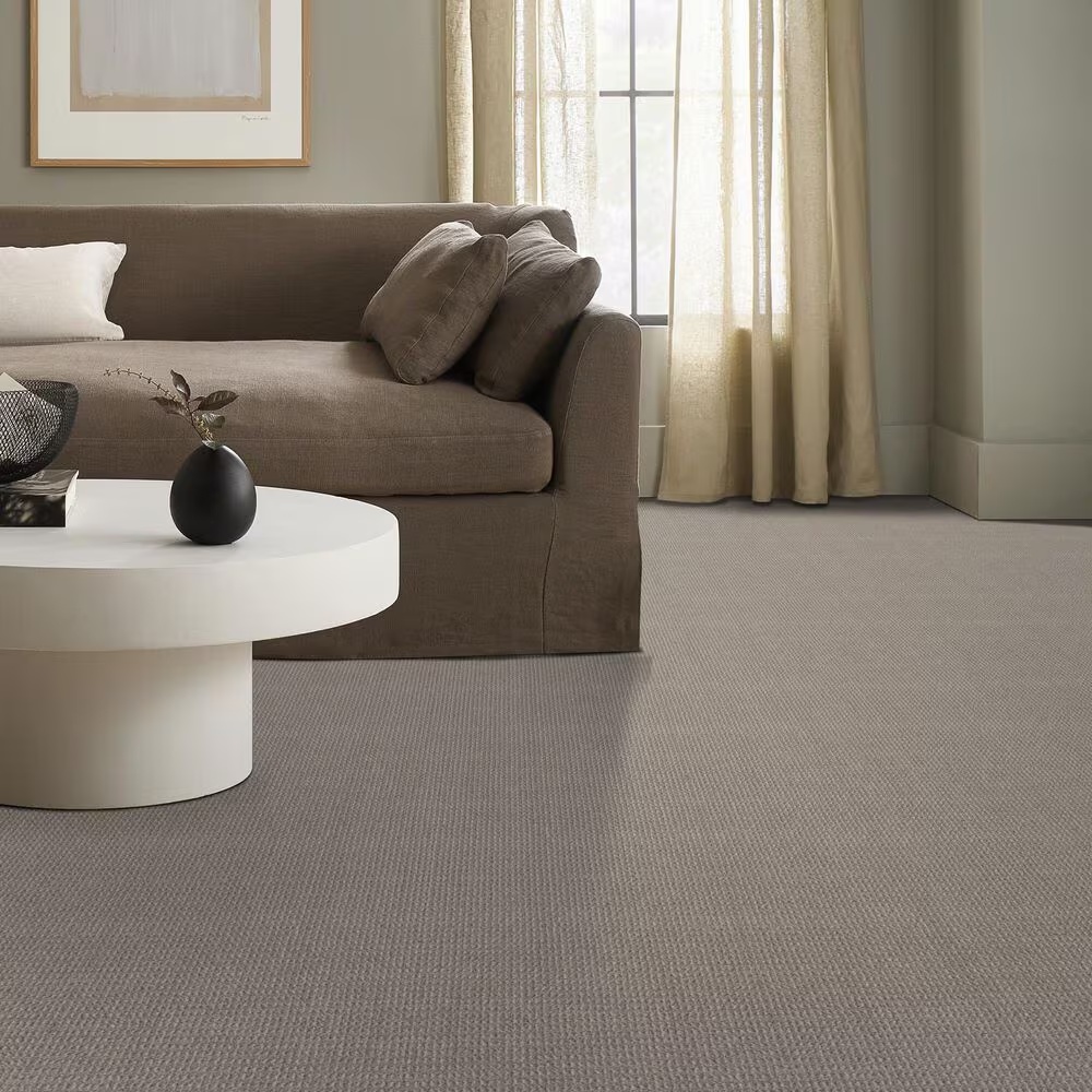 145497-shaw-crystal-cove-carpet-in-moonbeam-1.jpg
