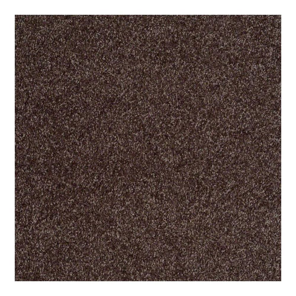 Shaw Parlay Carpet in Mink
