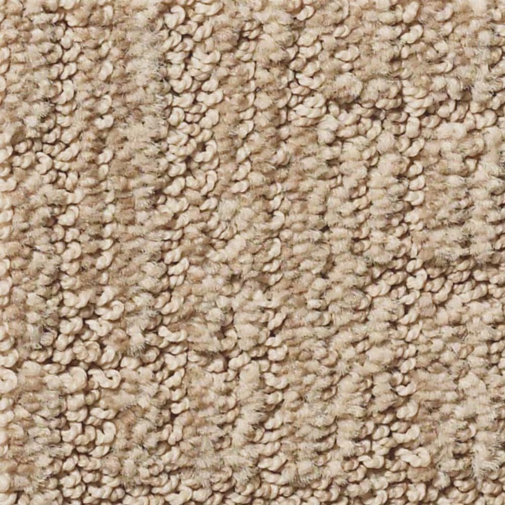 Shaw Roamer Carpet in Peanut Shell