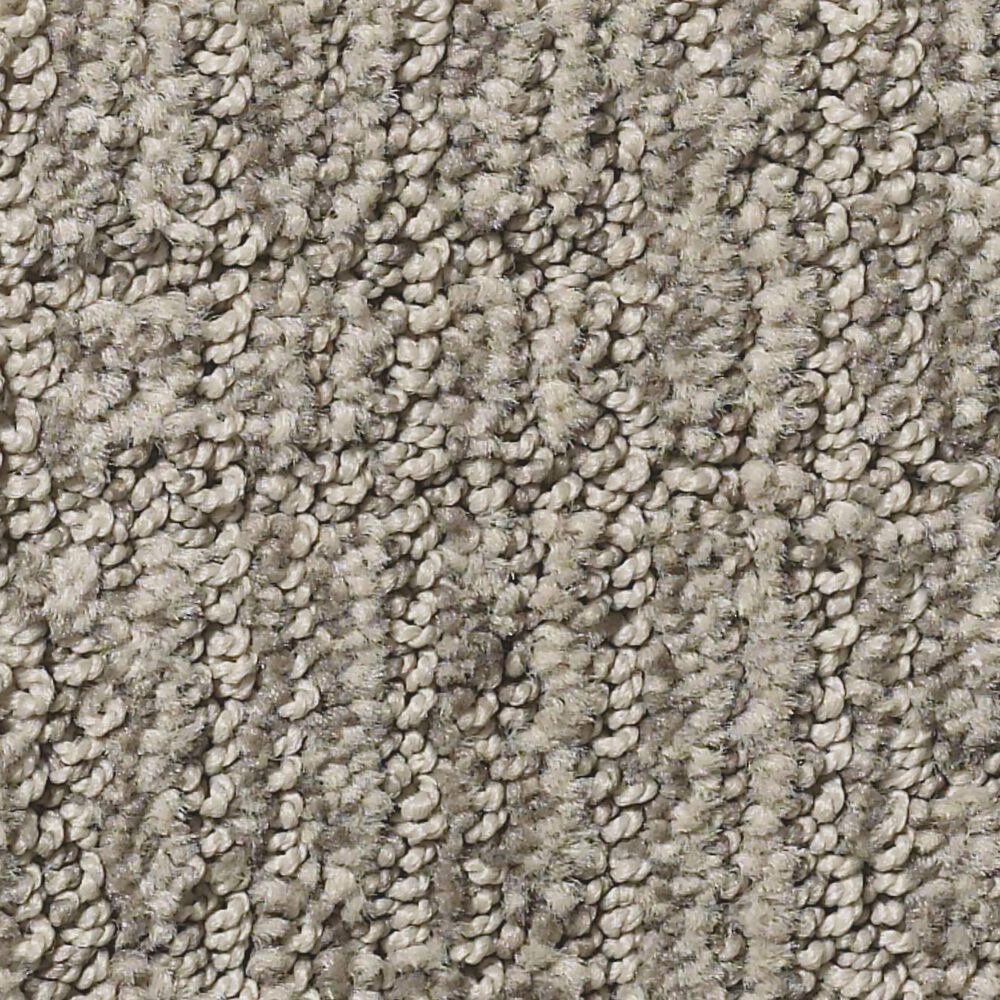 Shaw Roamer Carpet in Horizon