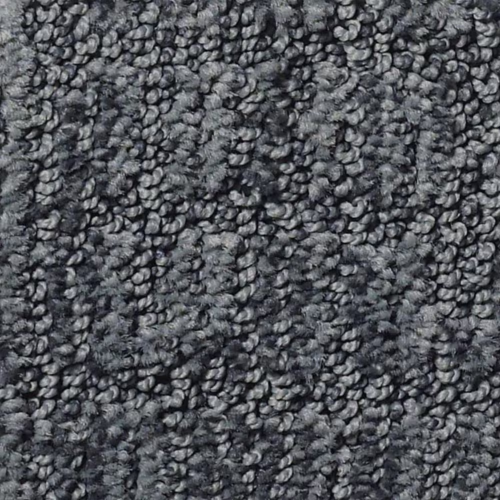 Shaw Roamer Carpet in Stratton
