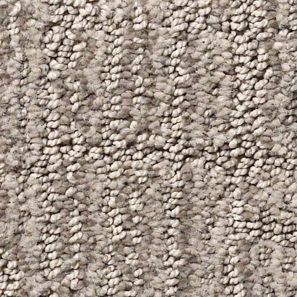 Shaw Roamer Carpet in Calm