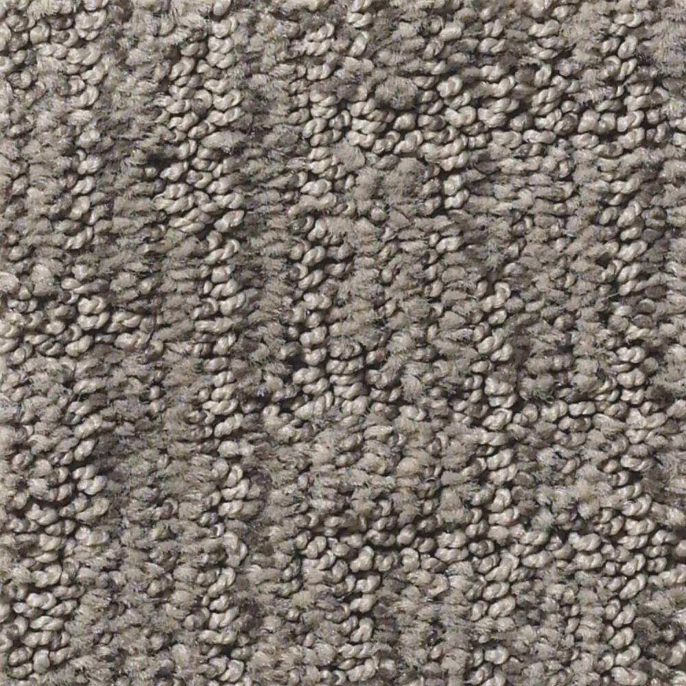 Shaw Roamer Carpet in Sharkskin