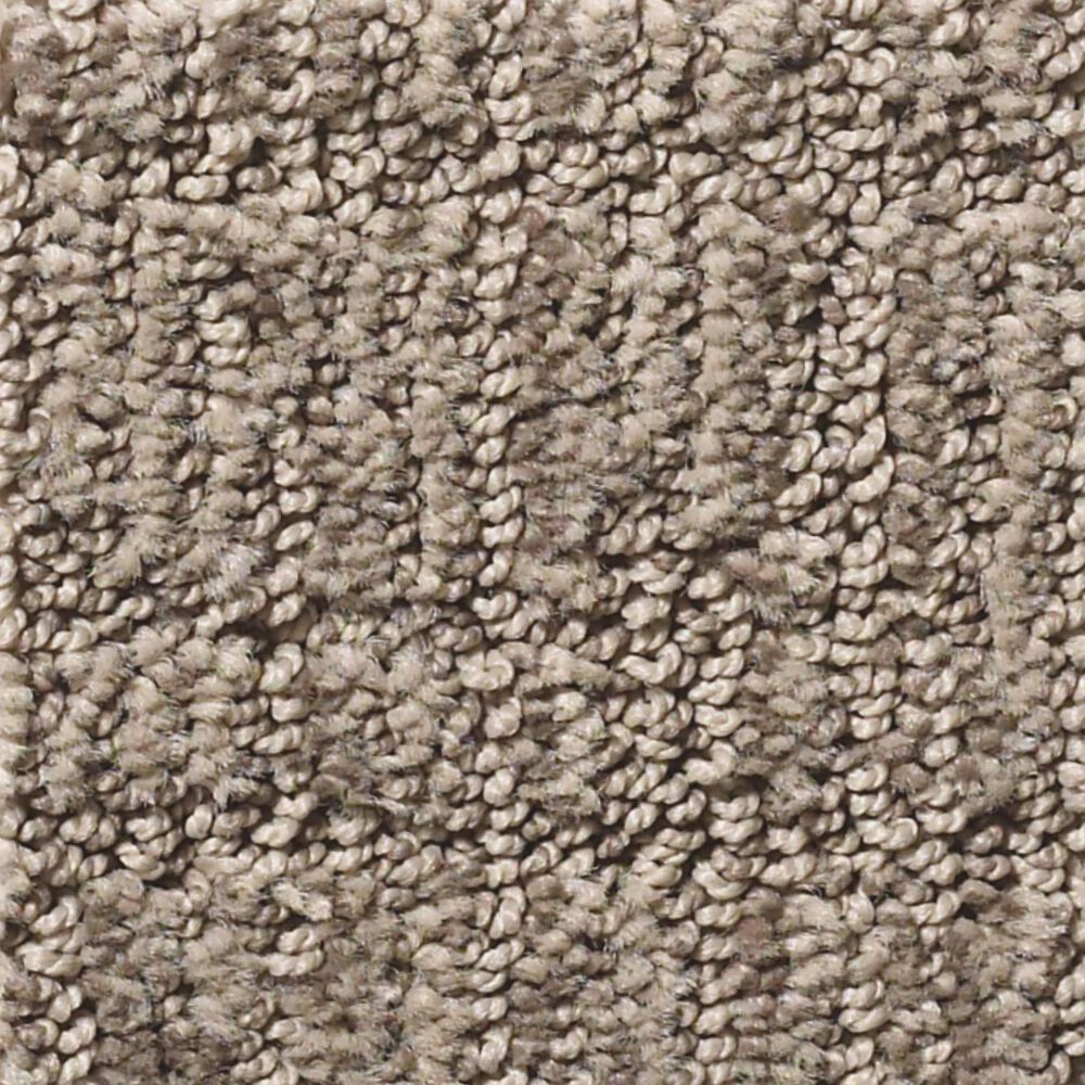 Shaw Roamer Carpet in Stonish