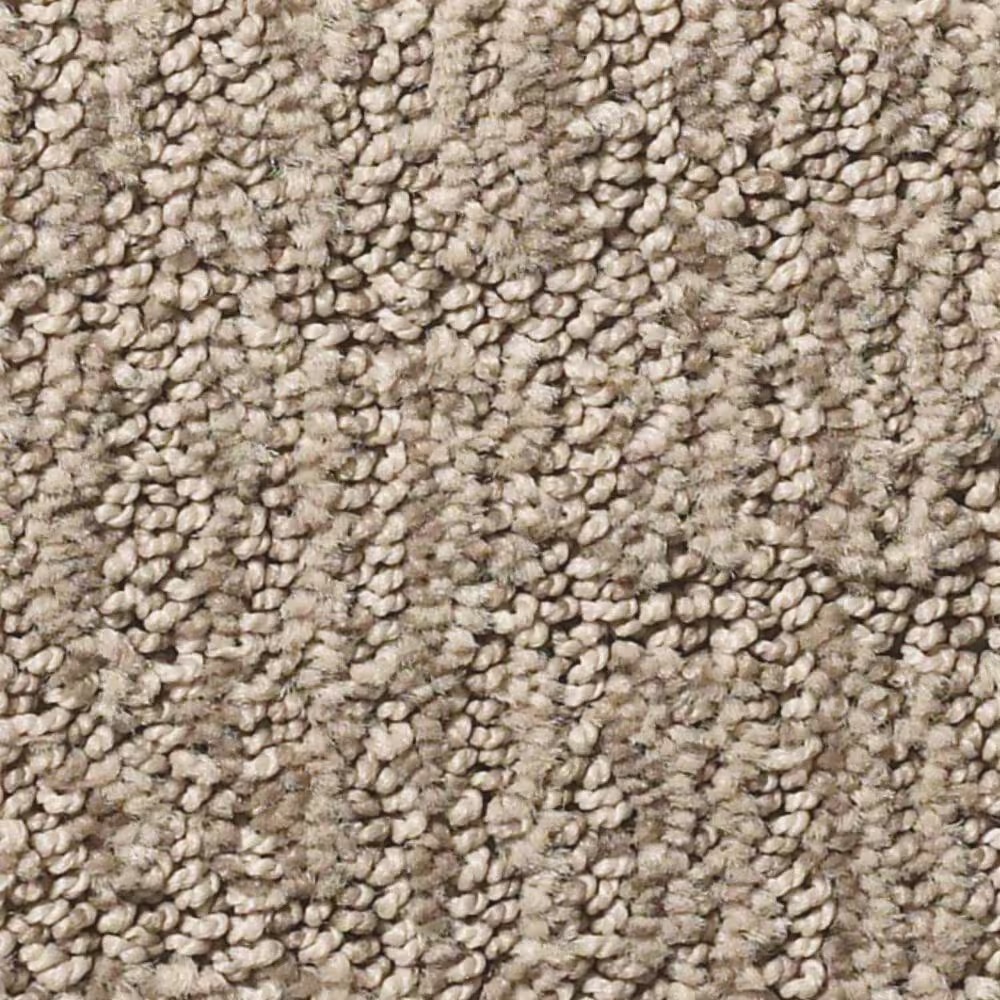 Shaw Roamer Carpet in Plains