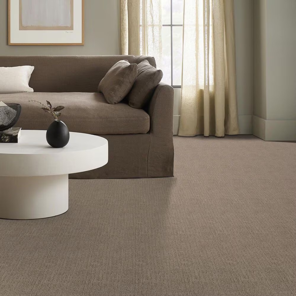 145526-shaw-roamer-carpet-in-plains-1.jpg
