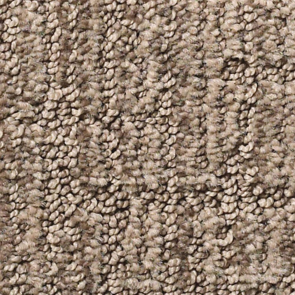Shaw Roamer Carpet in Driftwood