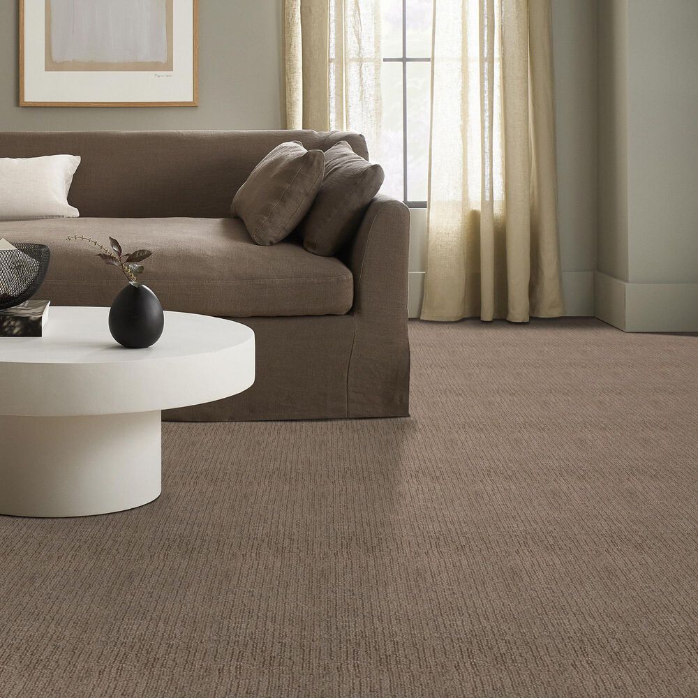 145527-shaw-roamer-carpet-in-driftwood-1.jpg