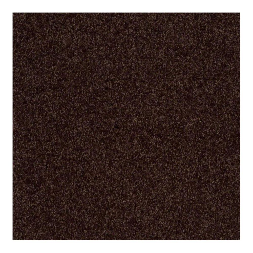Shaw Parlay Carpet in Truffle