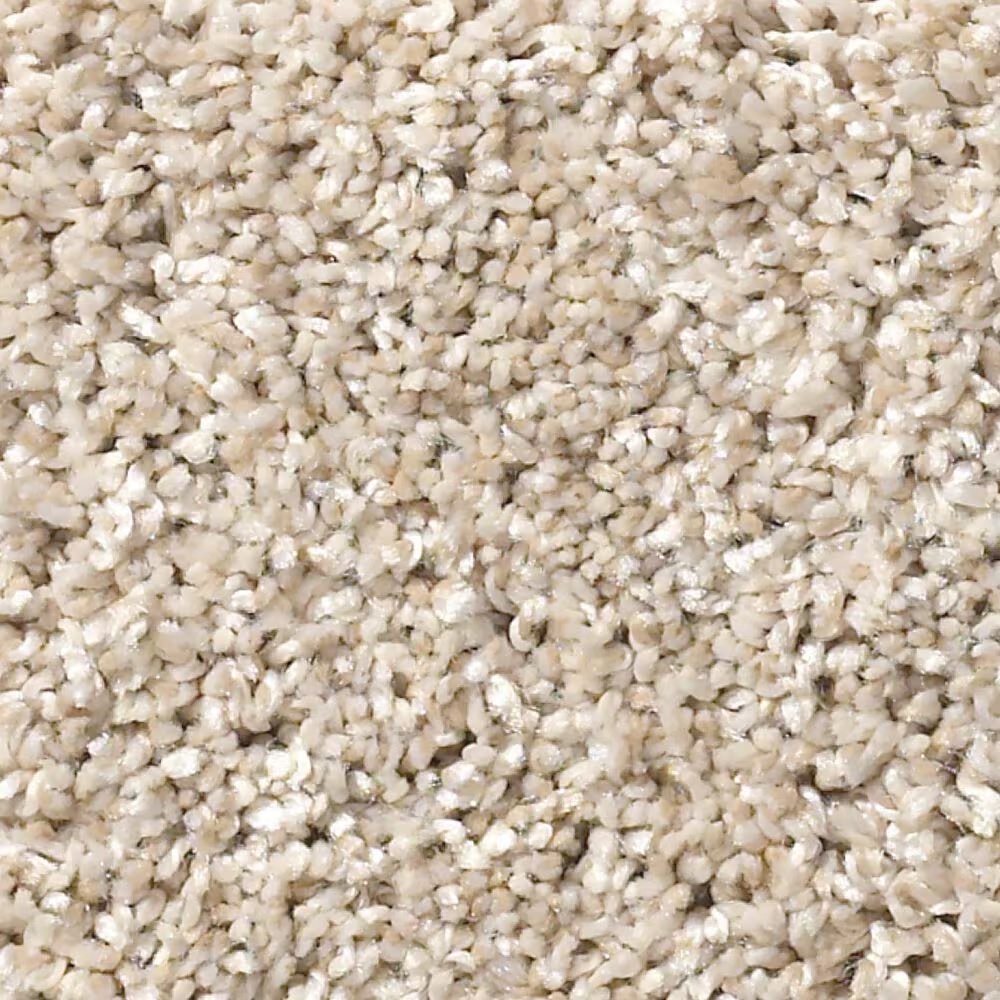Shaw After It II 5E258 Carpet in Sand Castle