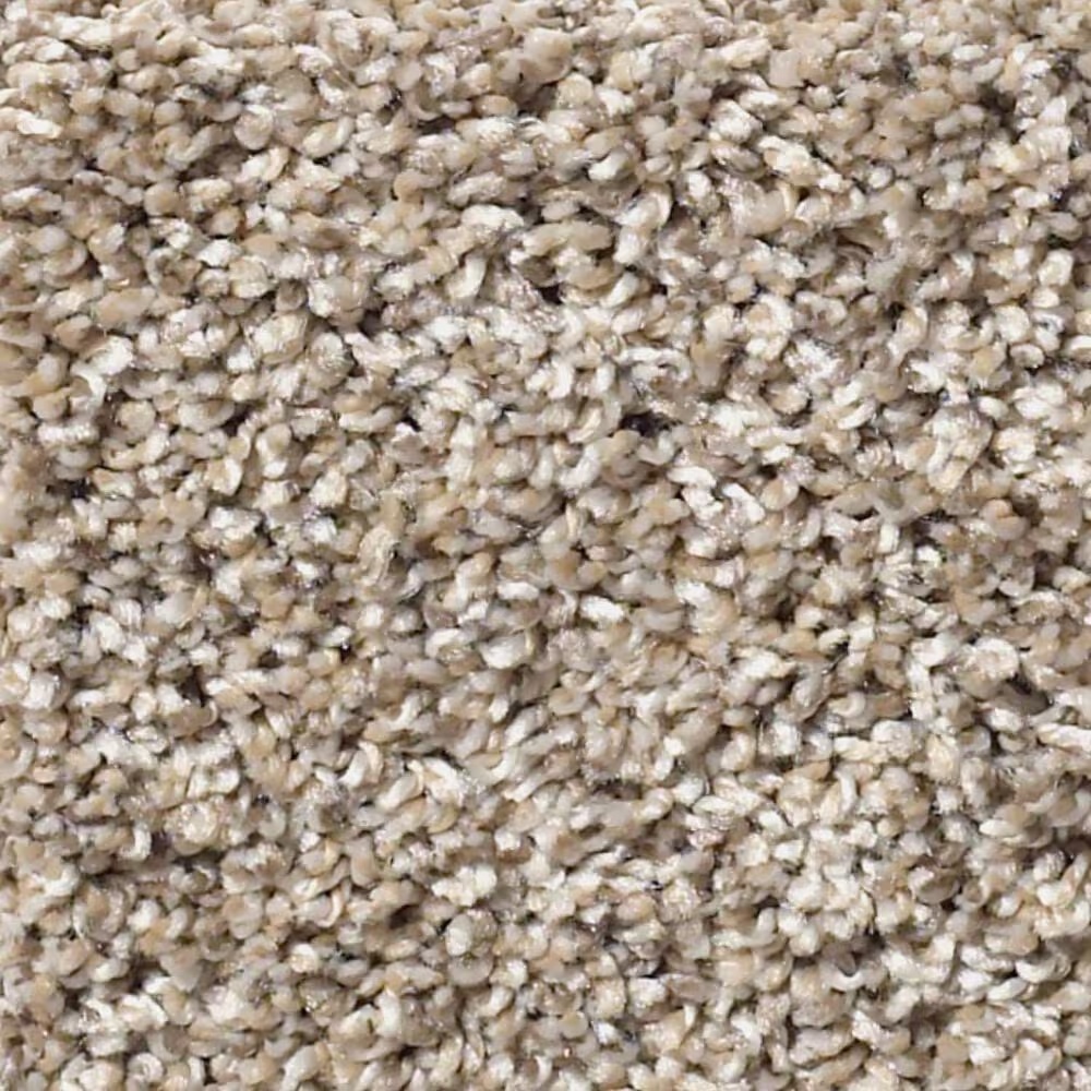 Shaw After It II Carpet in Neutral Ground