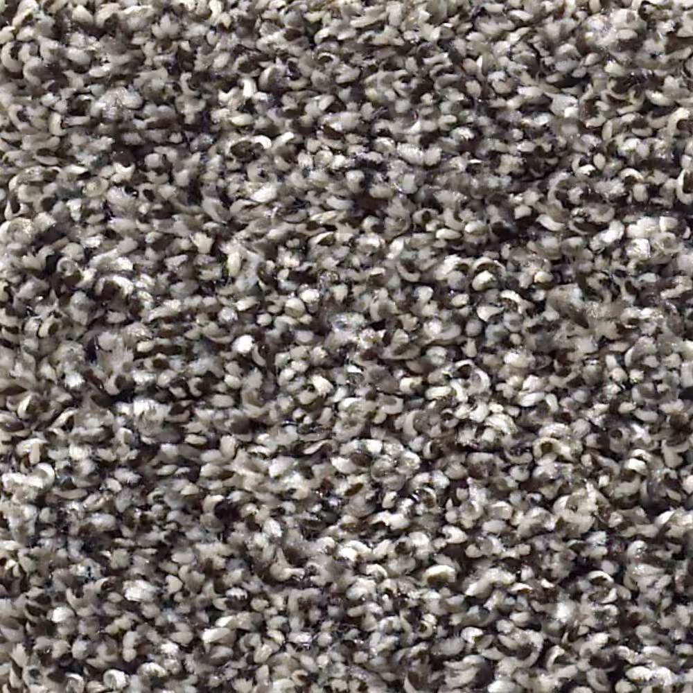 Shaw After It II Carpet in Anchor