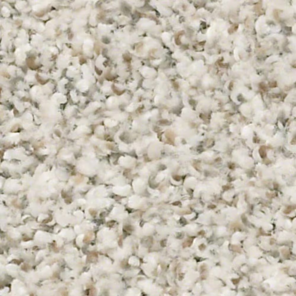 Shaw Make It Work Carpet in Scenic Drive