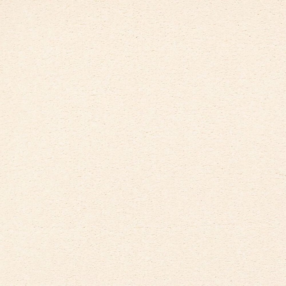 Karastan Tropical Vision Carpet in Buffed