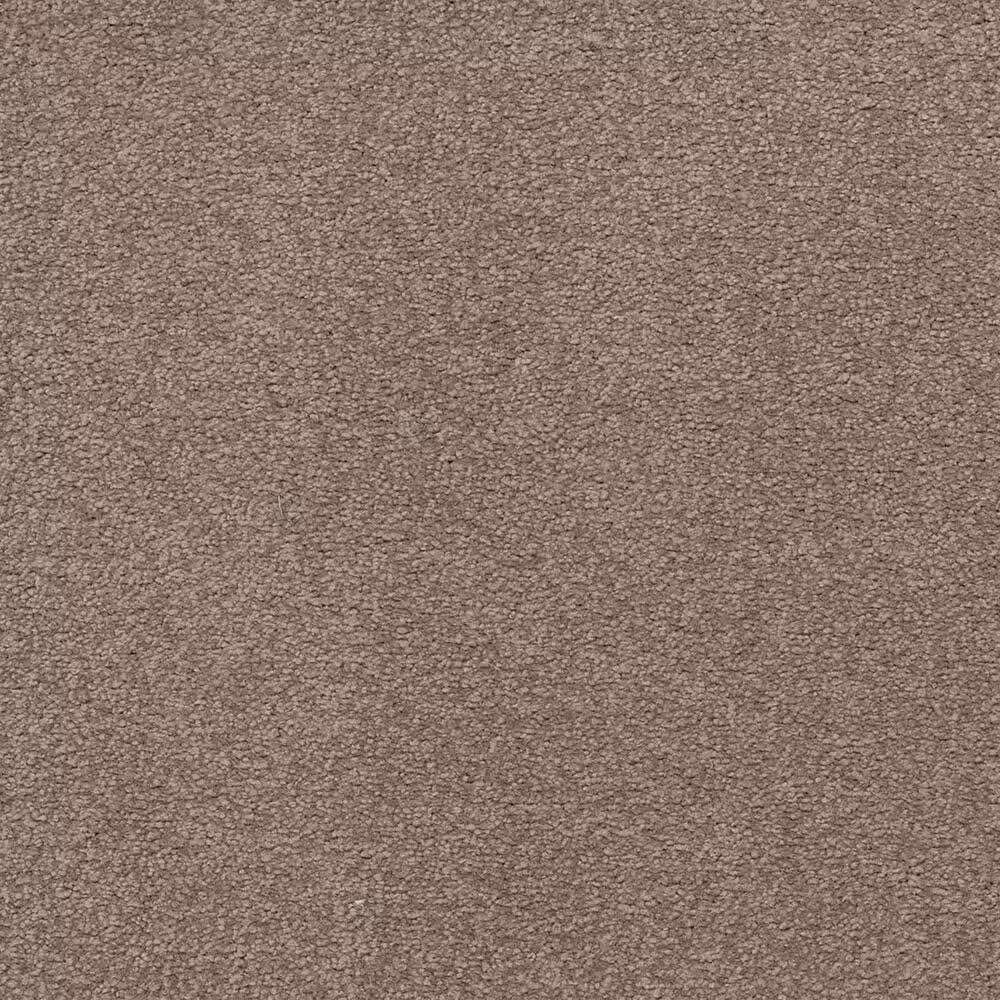 Other Tropical Vision Carpet in Fieldstone
