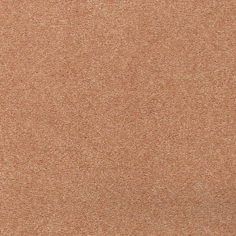 Karastan Tropical Vision Carpet in Nutmeg Frost