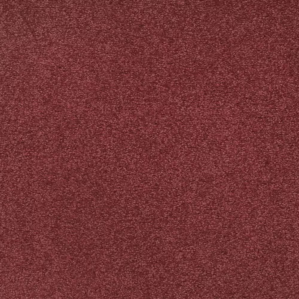Other Tropical Vision Carpet in Sunwashed Brick