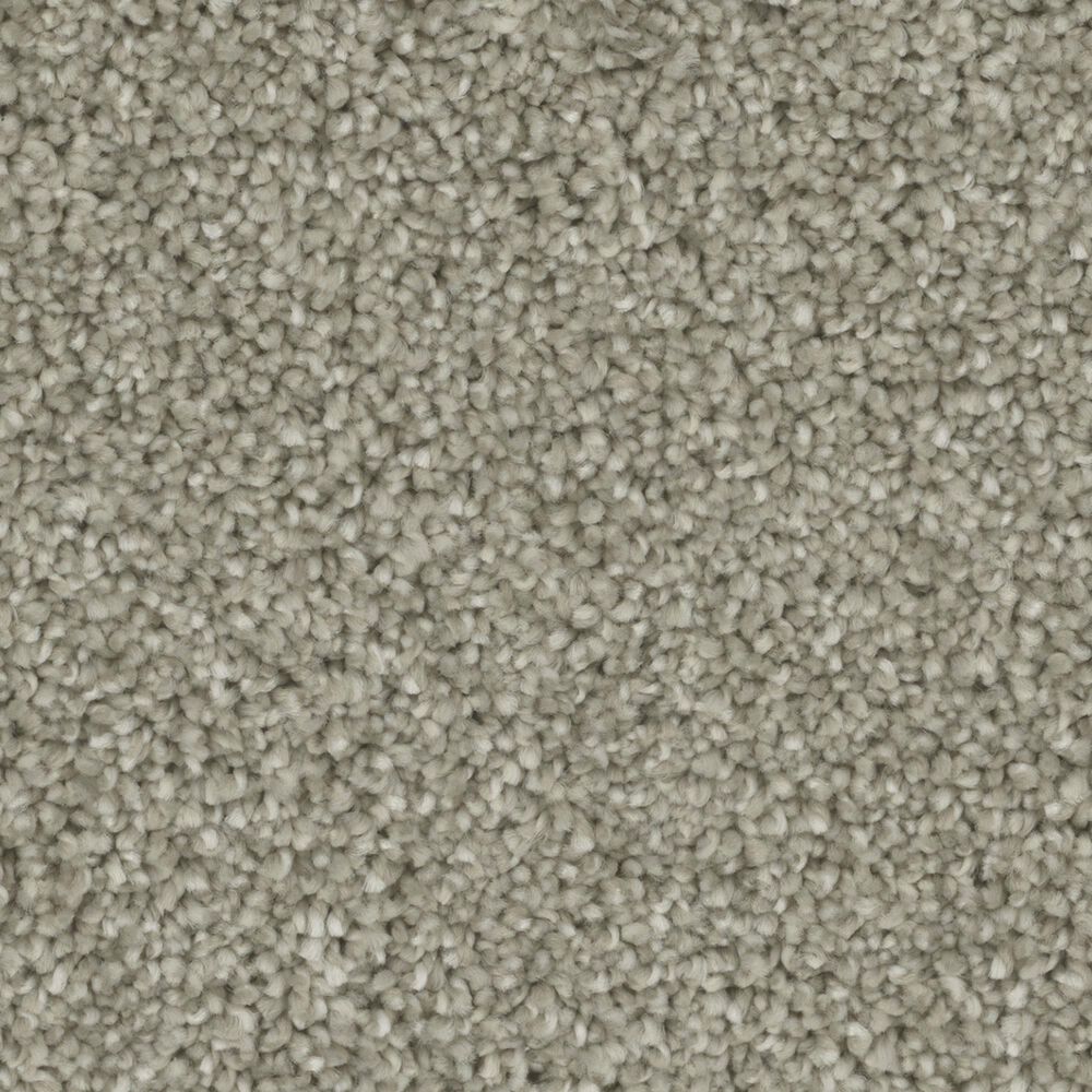 Phenix Goals Carpet in Delighted