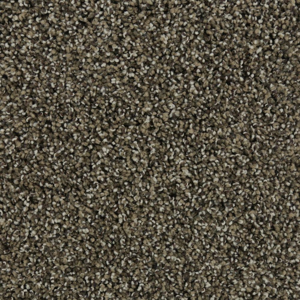 Mohawk Natural Opulence I Carpet in Mission