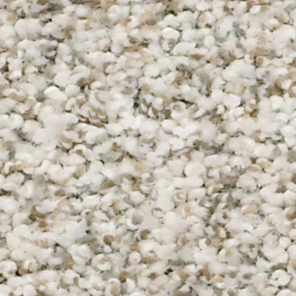 Shaw Make It Work Carpet in Ambiance